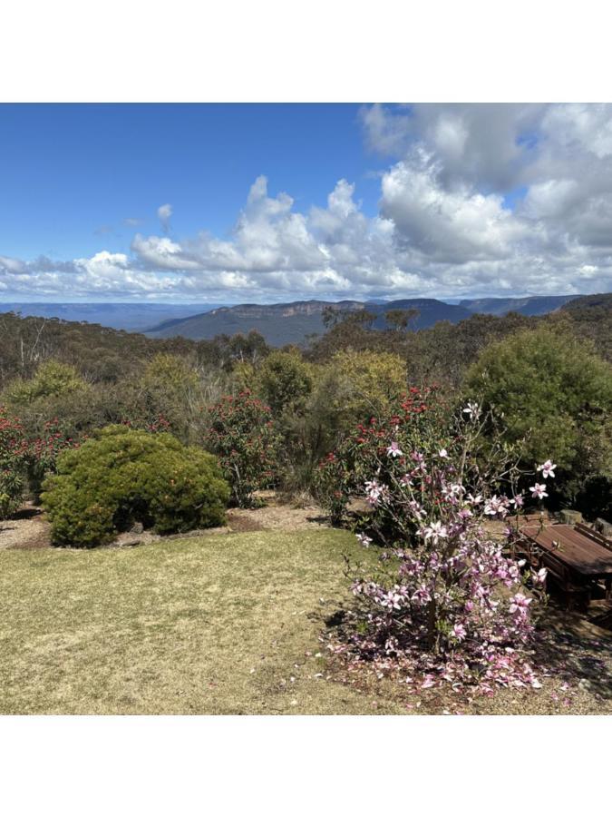 Valley Of The Waters B&B Wentworth Falls Εξωτερικό φωτογραφία