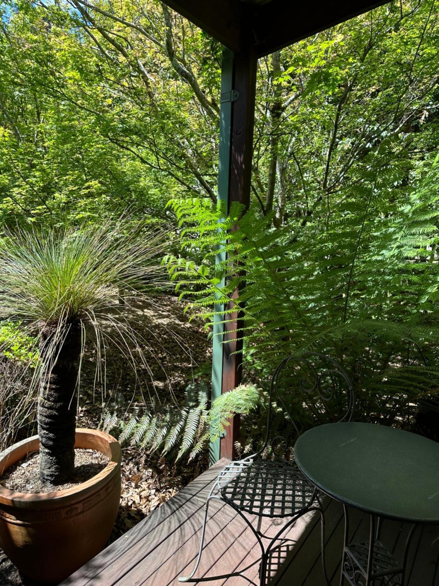 Valley Of The Waters B&B Wentworth Falls Εξωτερικό φωτογραφία