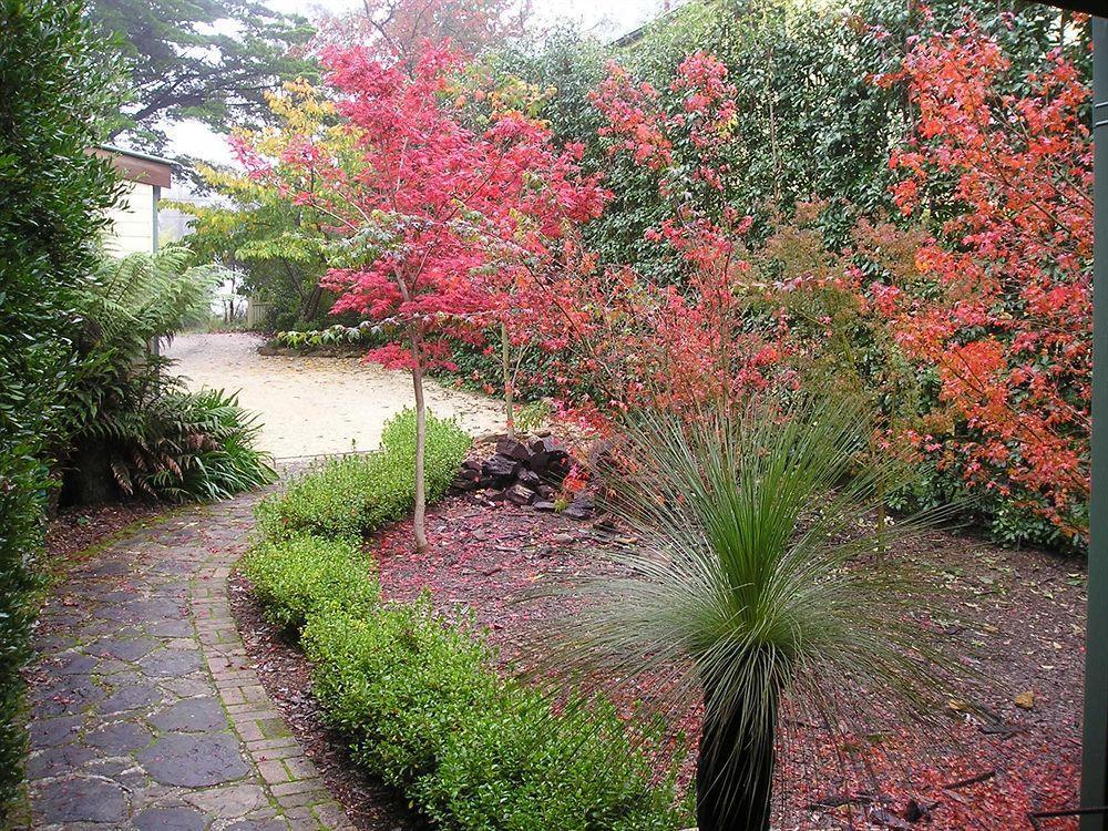 Valley Of The Waters B&B Wentworth Falls Εξωτερικό φωτογραφία