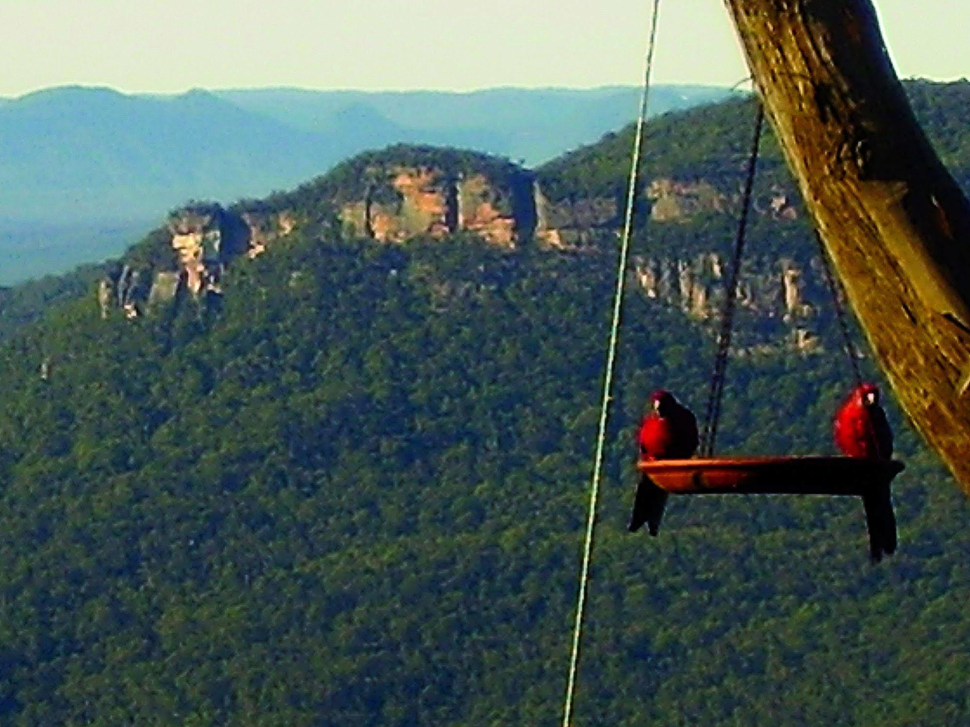 Valley Of The Waters B&B Wentworth Falls Εξωτερικό φωτογραφία