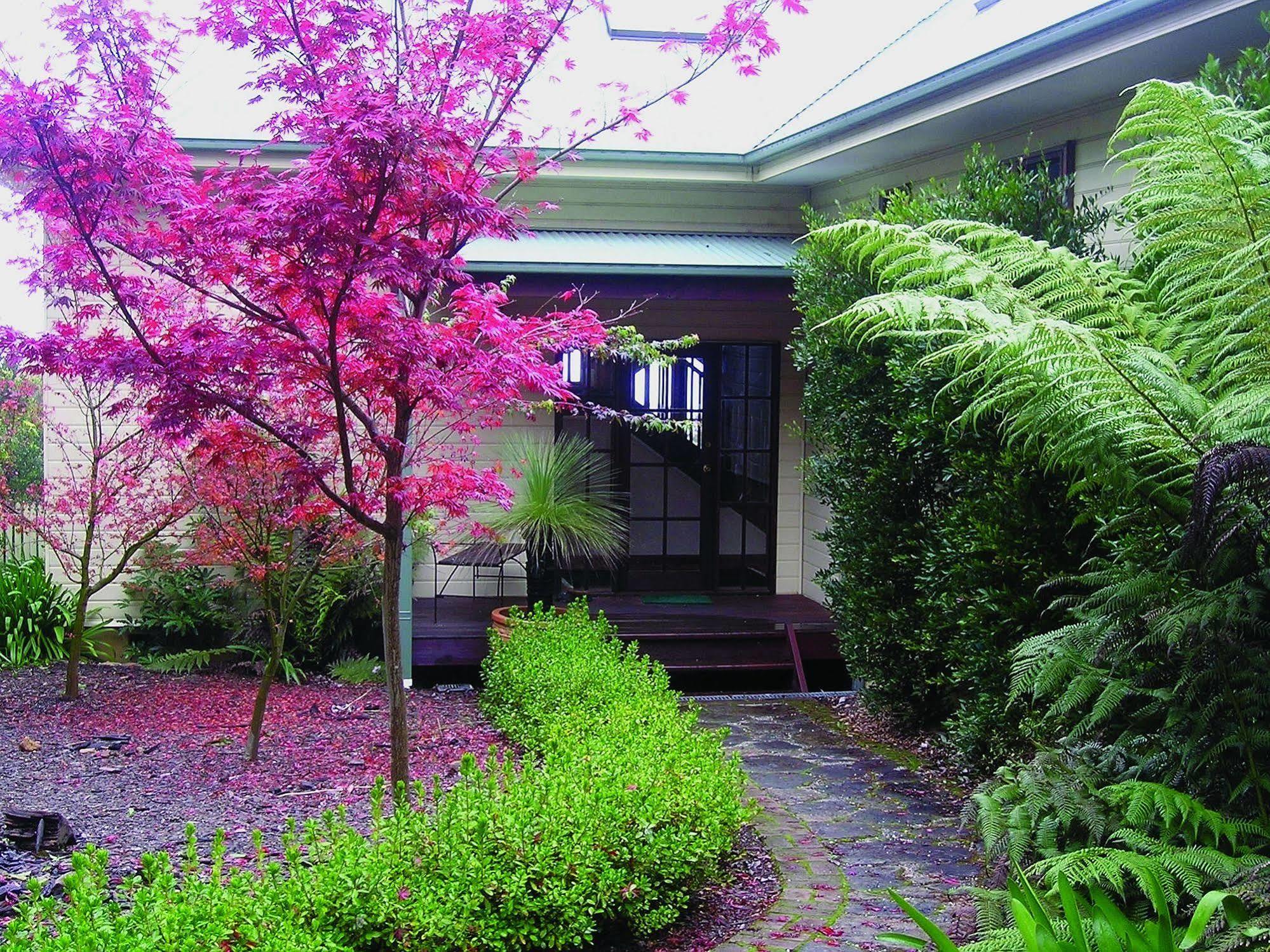Valley Of The Waters B&B Wentworth Falls Εξωτερικό φωτογραφία