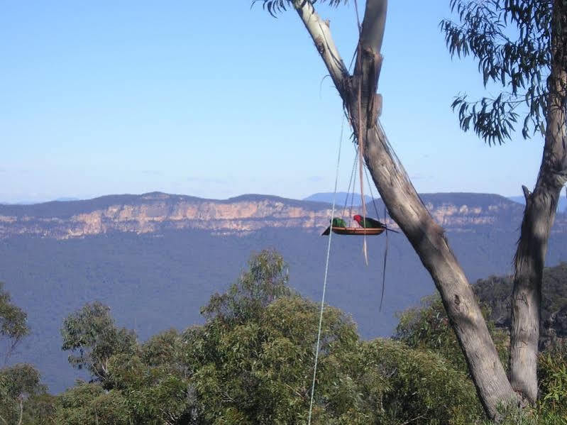 Valley Of The Waters B&B Wentworth Falls Εξωτερικό φωτογραφία