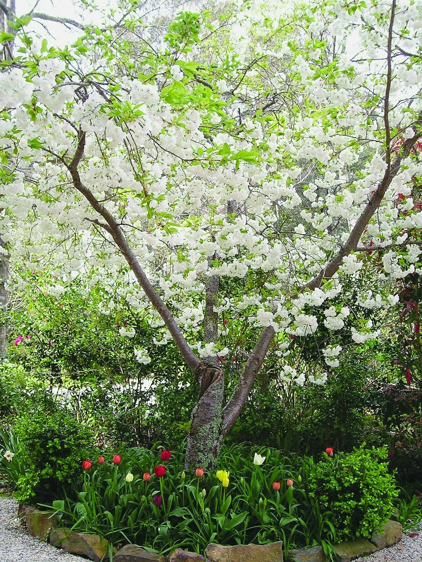 Valley Of The Waters B&B Wentworth Falls Εξωτερικό φωτογραφία